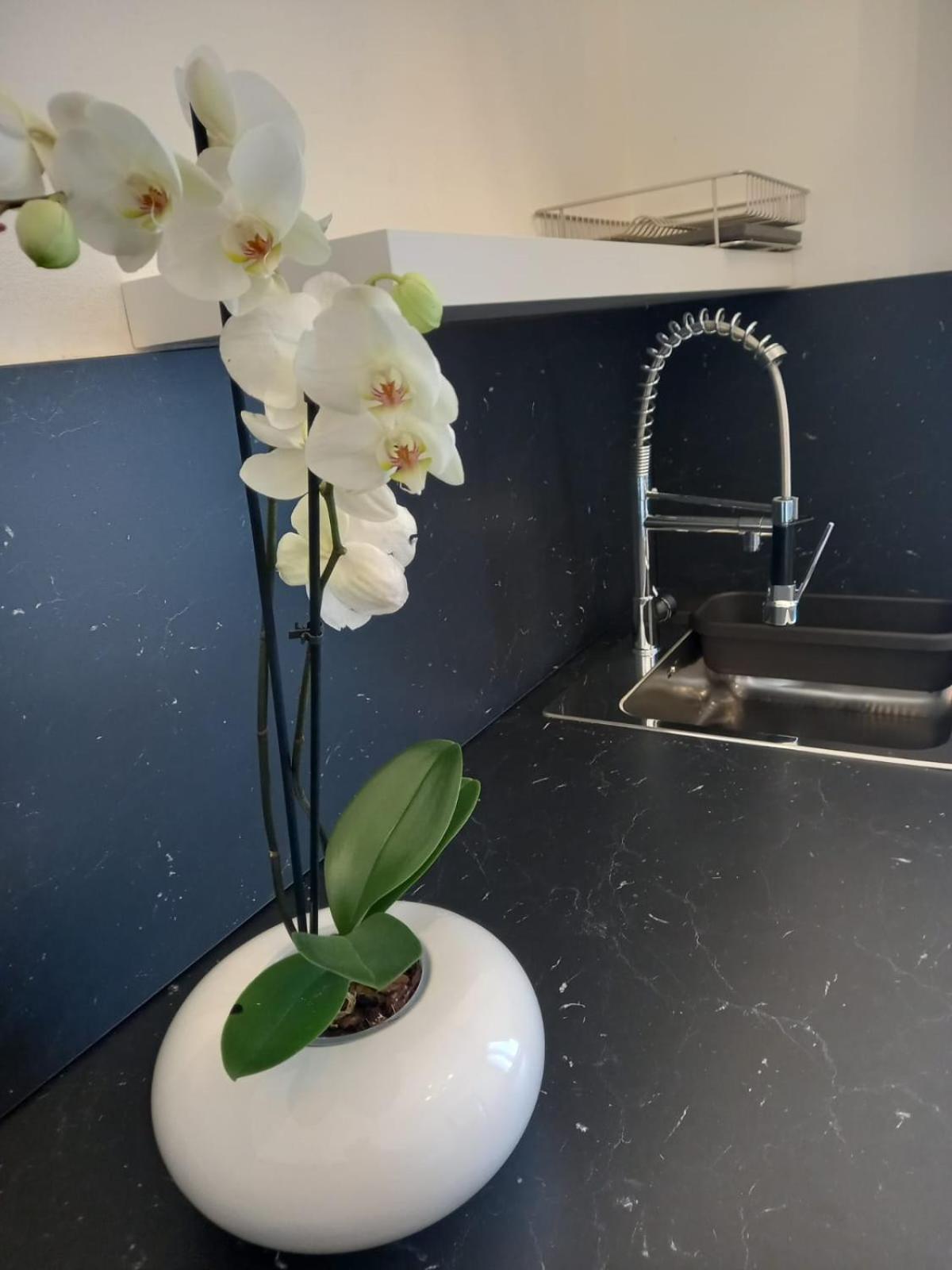 Casa Porta Vescovo Veronaアパートメント エクステリア 写真